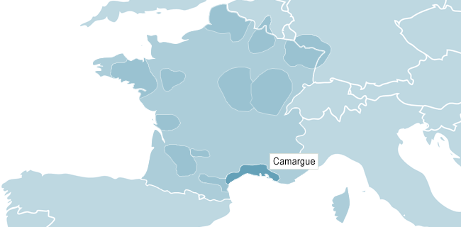 Kart over Camargue